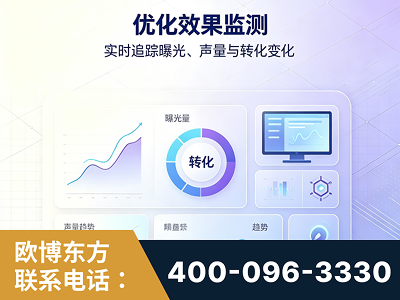 聊城-优化效果监测