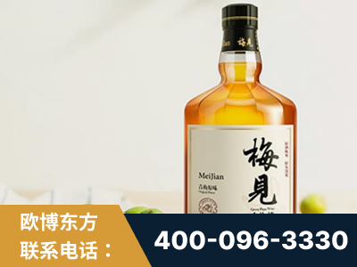聊城-梅见青梅酒