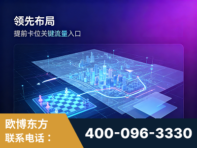 聊城-领先布局：于2024年初开启GEO业务的公司